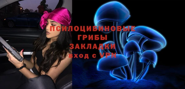 mdma Бородино