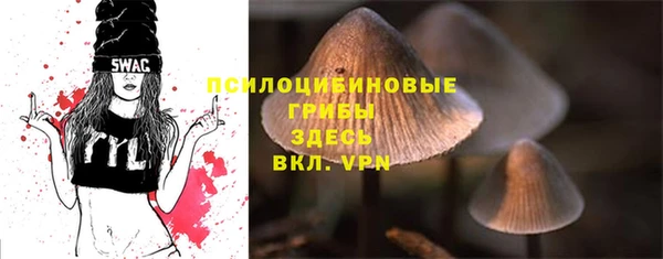 mdma Бородино