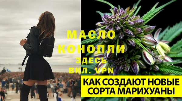 mdpv Богданович
