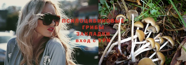 mdma Бородино