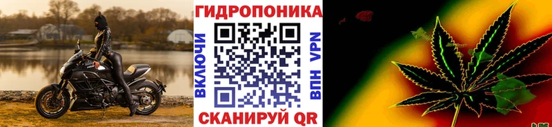 купить наркотики цена  Гремячинск  Конопля марихуана 